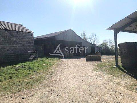 Woodland  Deux-Sèvres