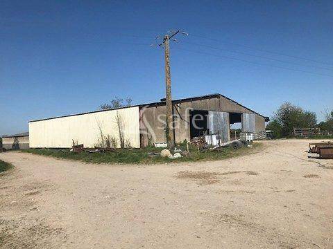 Woodland  Deux-Sèvres