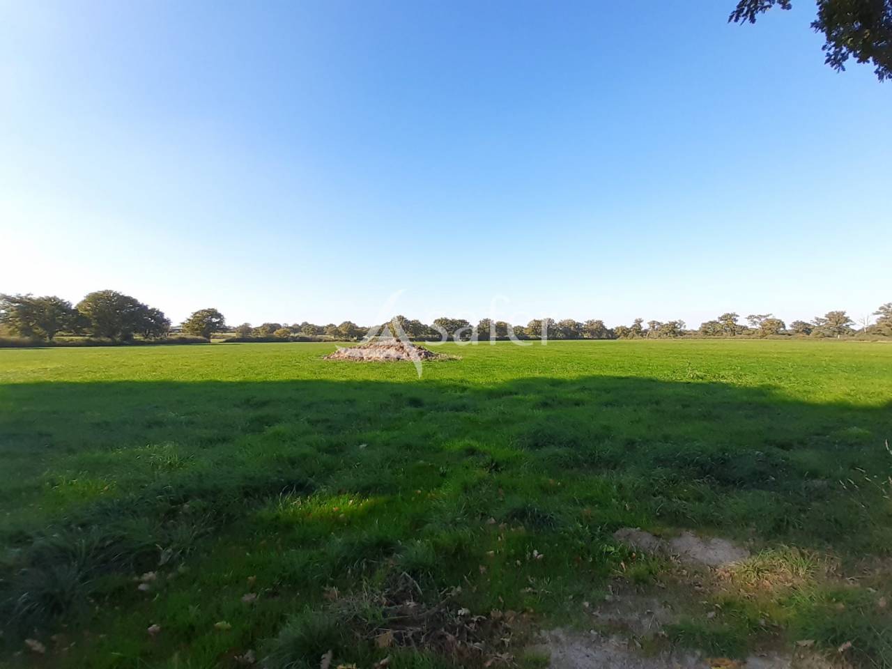 Woodland  Deux-Sèvres