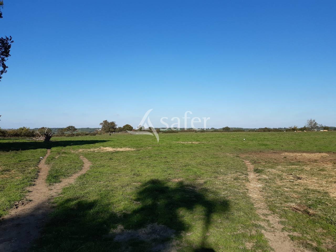 Woodland  Deux-Sèvres