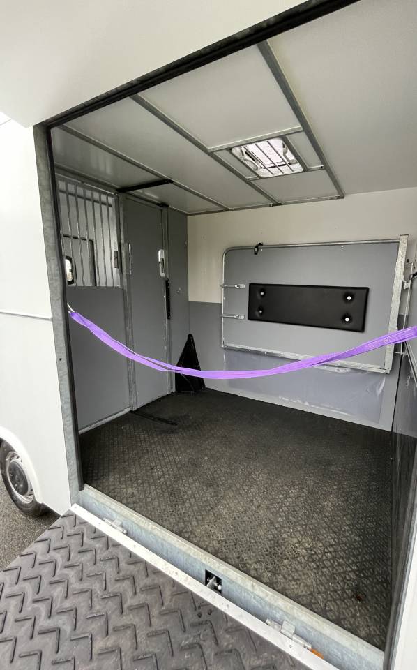 Horsebox HGV AP Petit Peugeot Boxer L4   2020 New