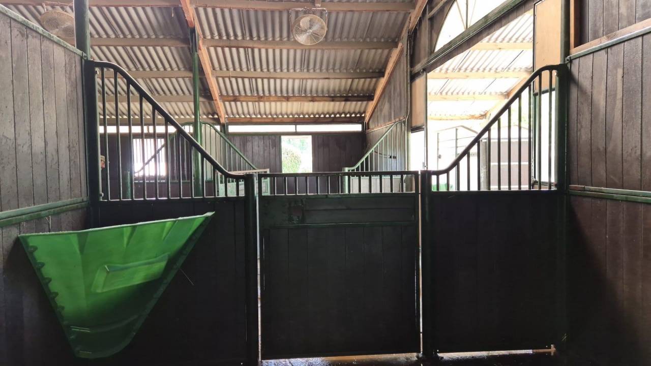 Livery yard  Tarn-et-Taronne