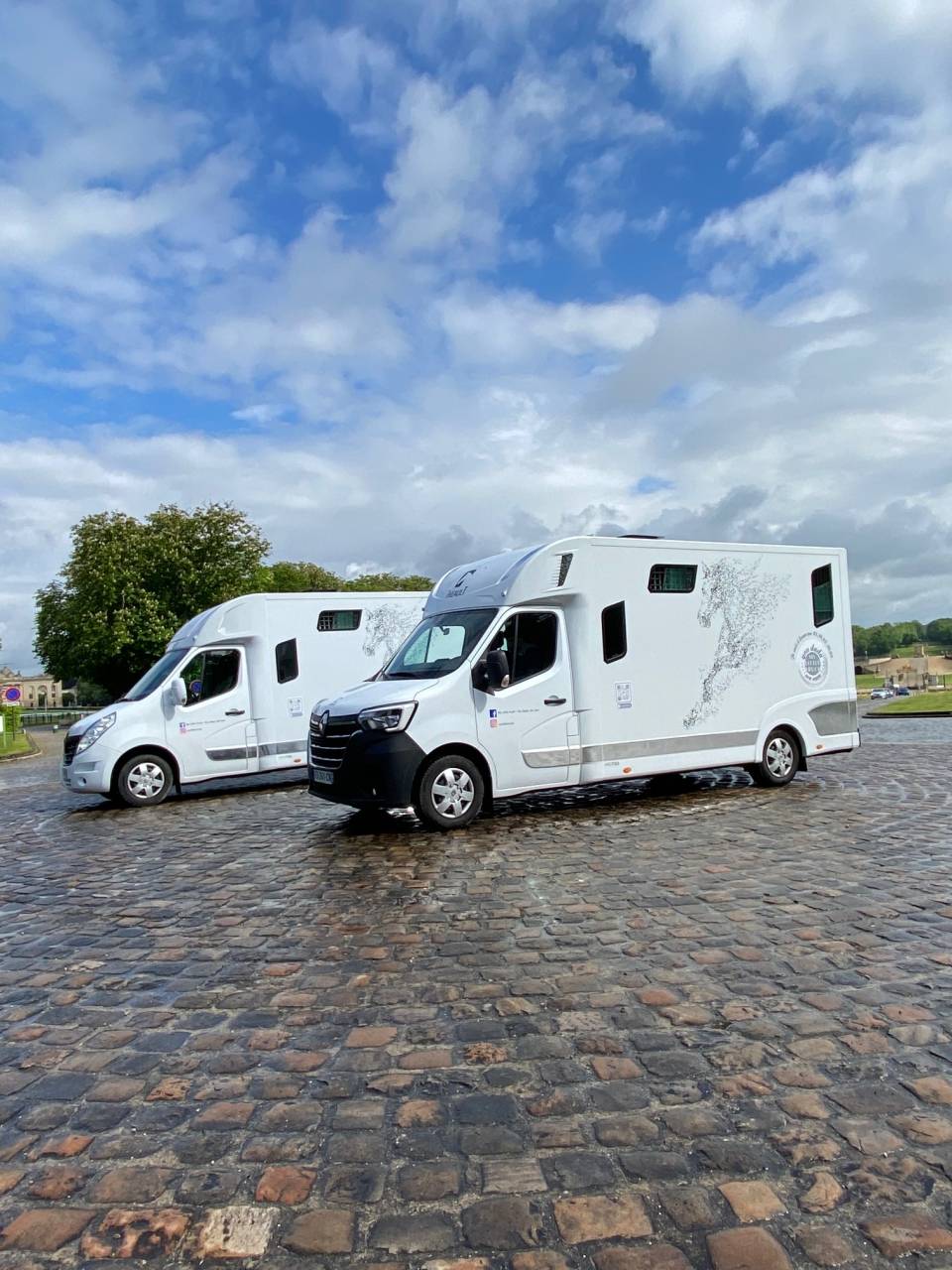 Horsebox HGV Theault Proteo 2020 Used