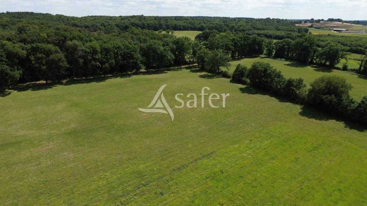 Other agricultural property  Vienne