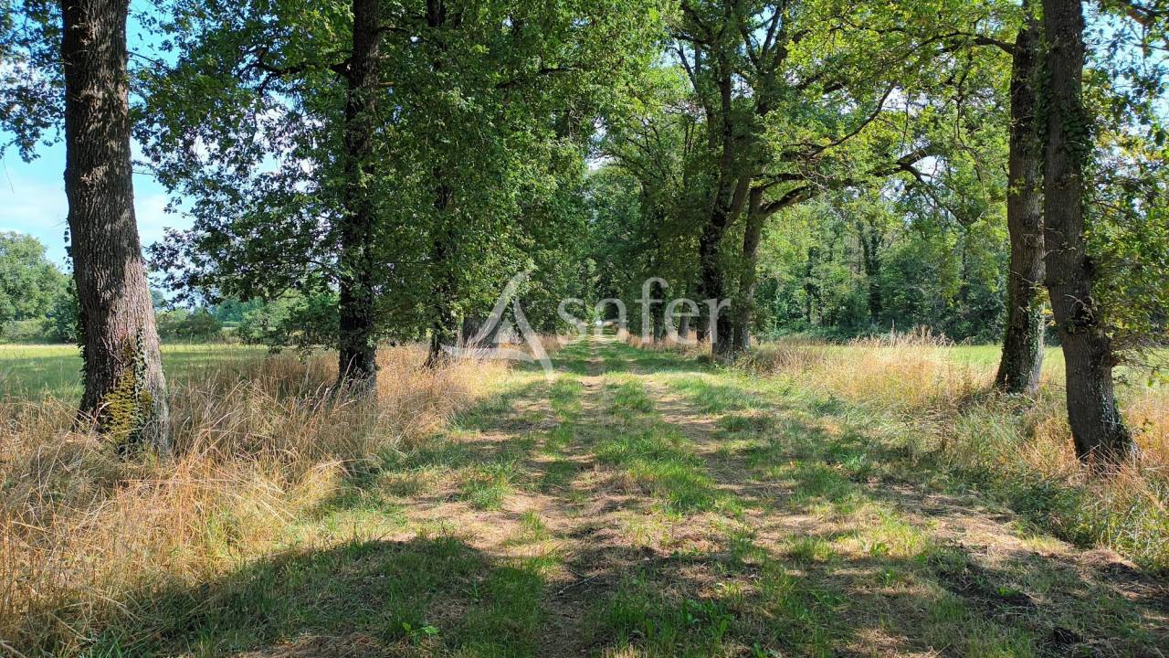 Other agricultural property  Vienne