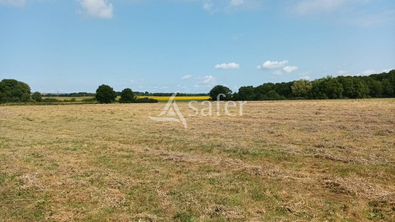 Other agricultural property  Vienne