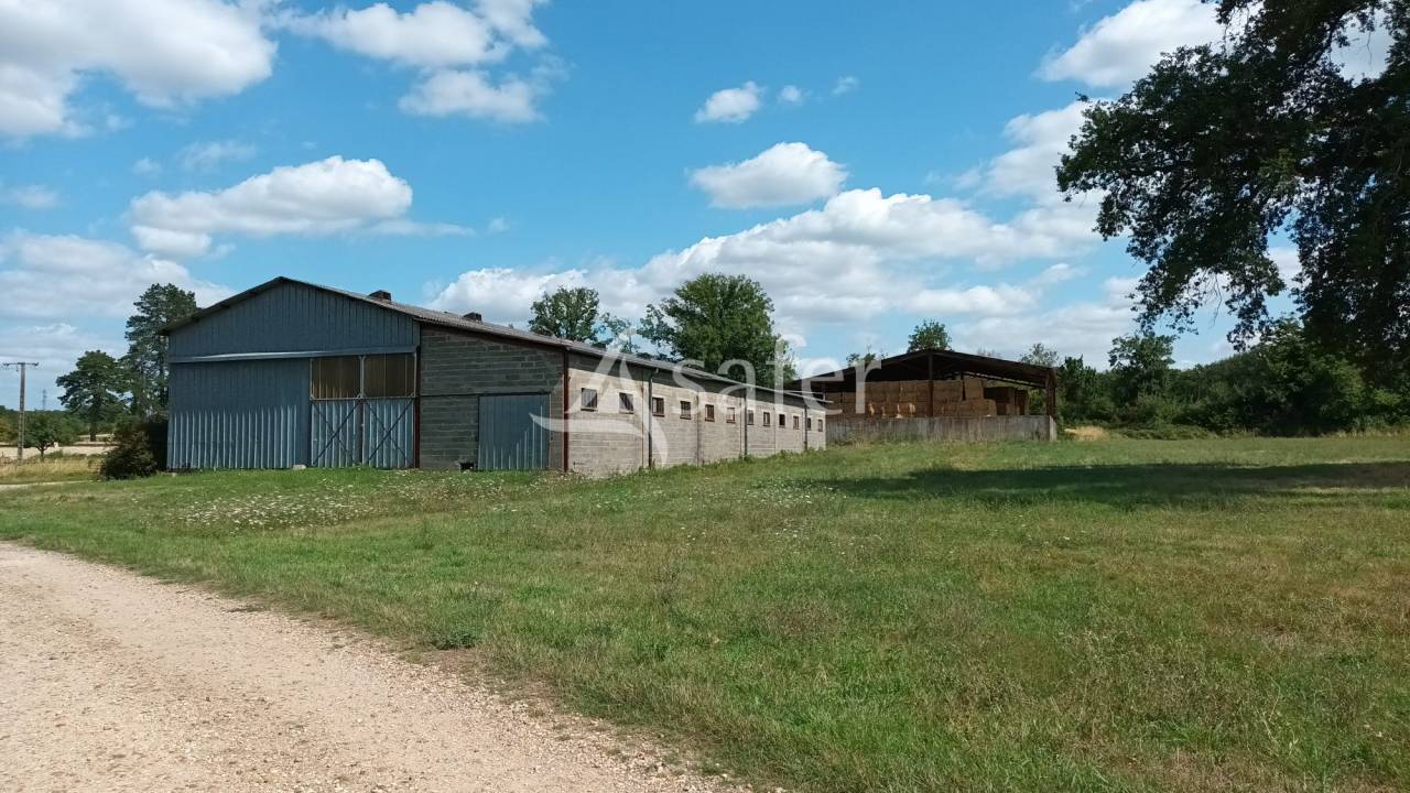 Other agricultural property  Vienne