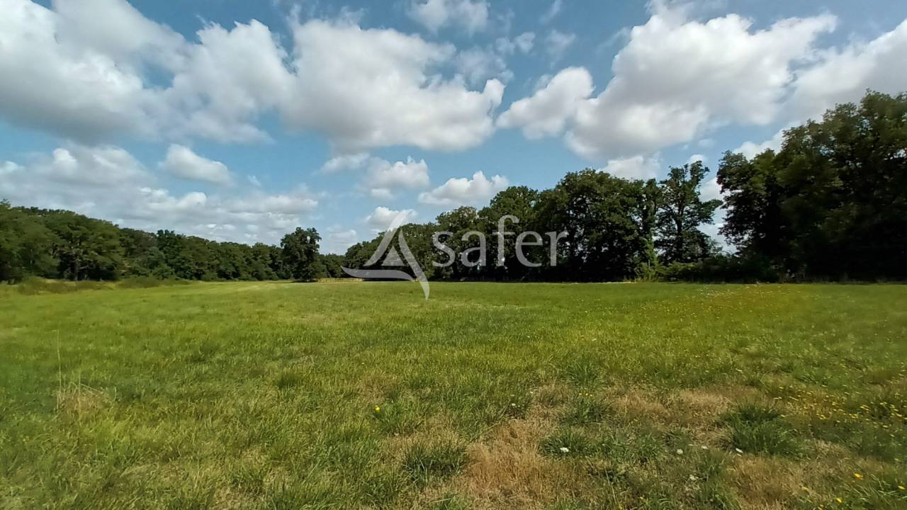 Other agricultural property  Vienne