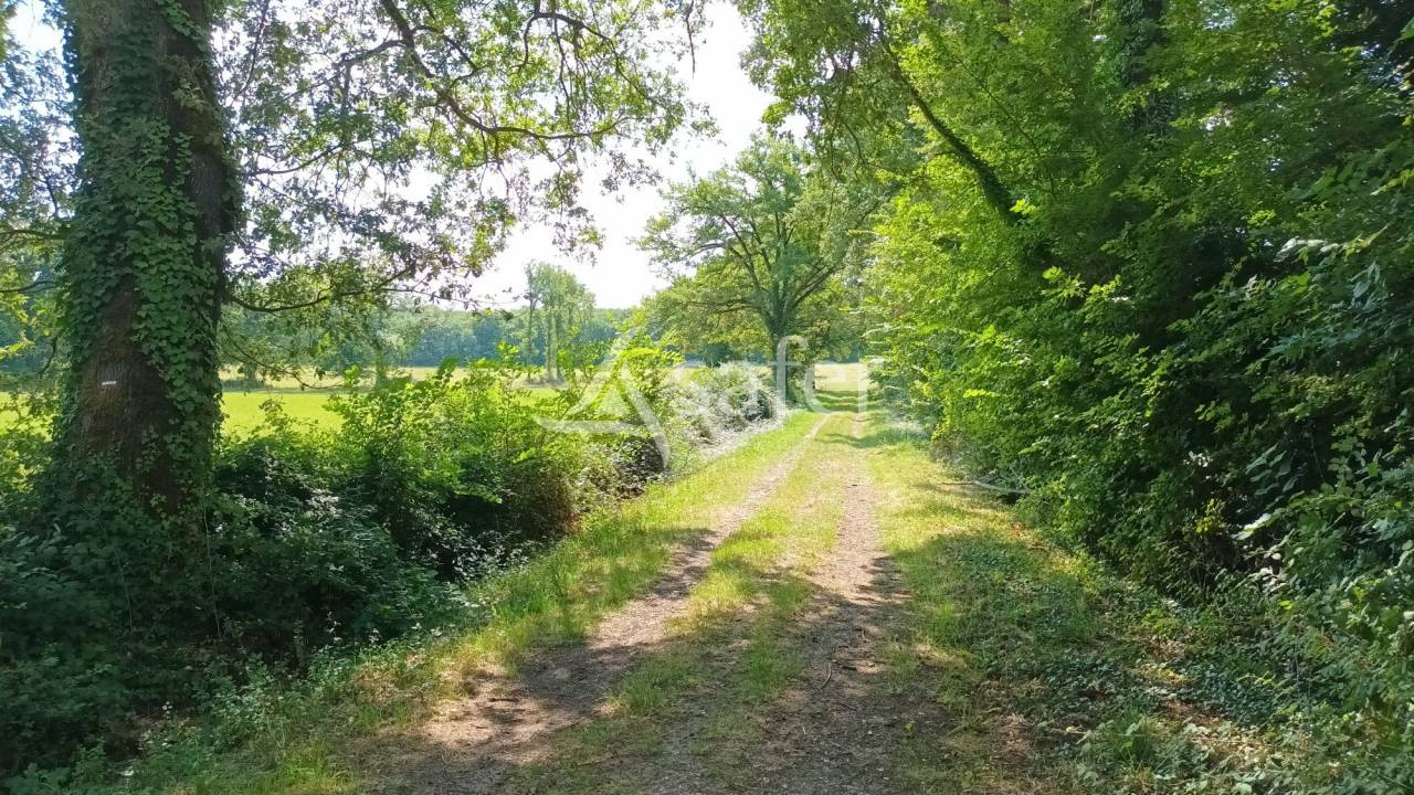 Other agricultural property  Vienne