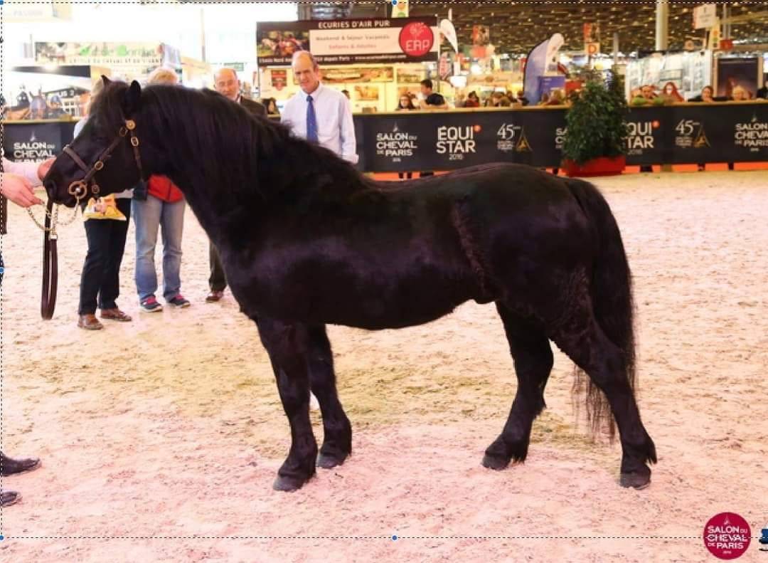 SHILSTONE ROCKS THUNDERHEAD 2 - Dartmoor 2006 by SR ATLANTIC GALE