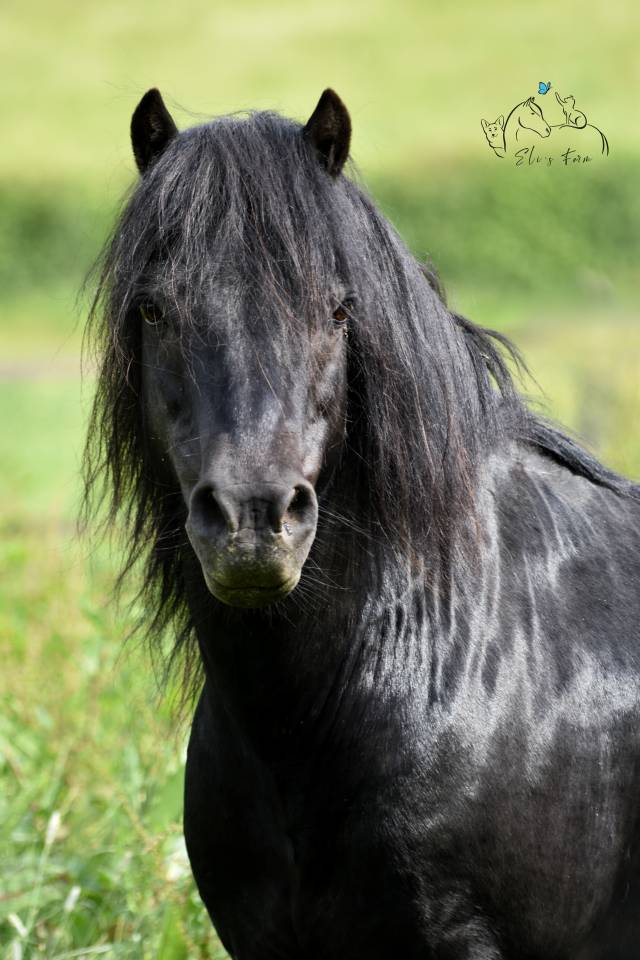 SHILSTONE ROCKS THUNDERHEAD 2 - Dartmoor 2006 by SR ATLANTIC GALE