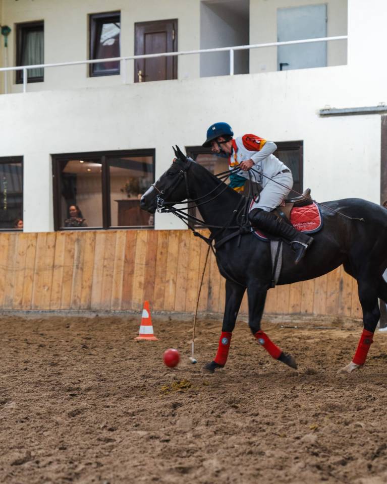 Filly Thoroughbred For sale 2016 Dark Bay