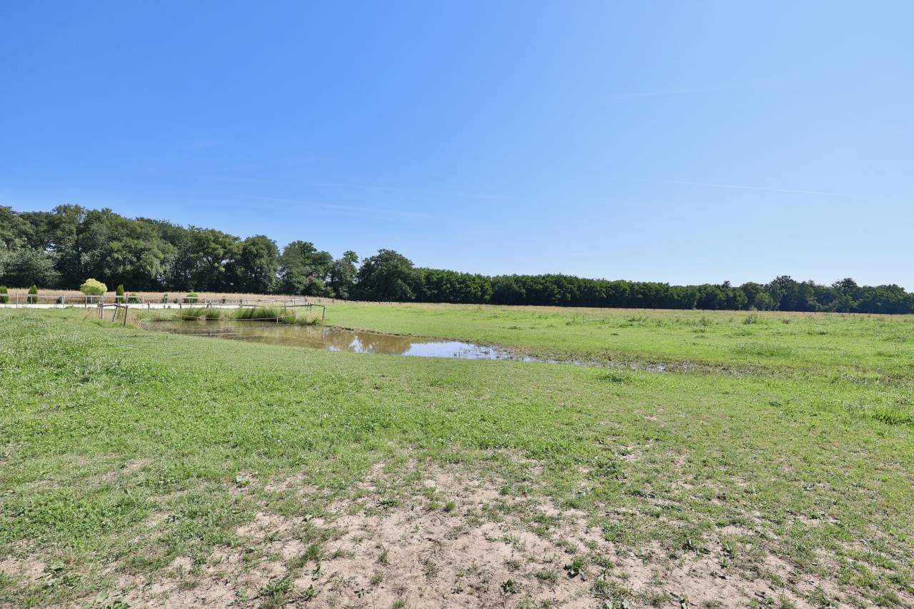 Luxurious equestrian property  Ain