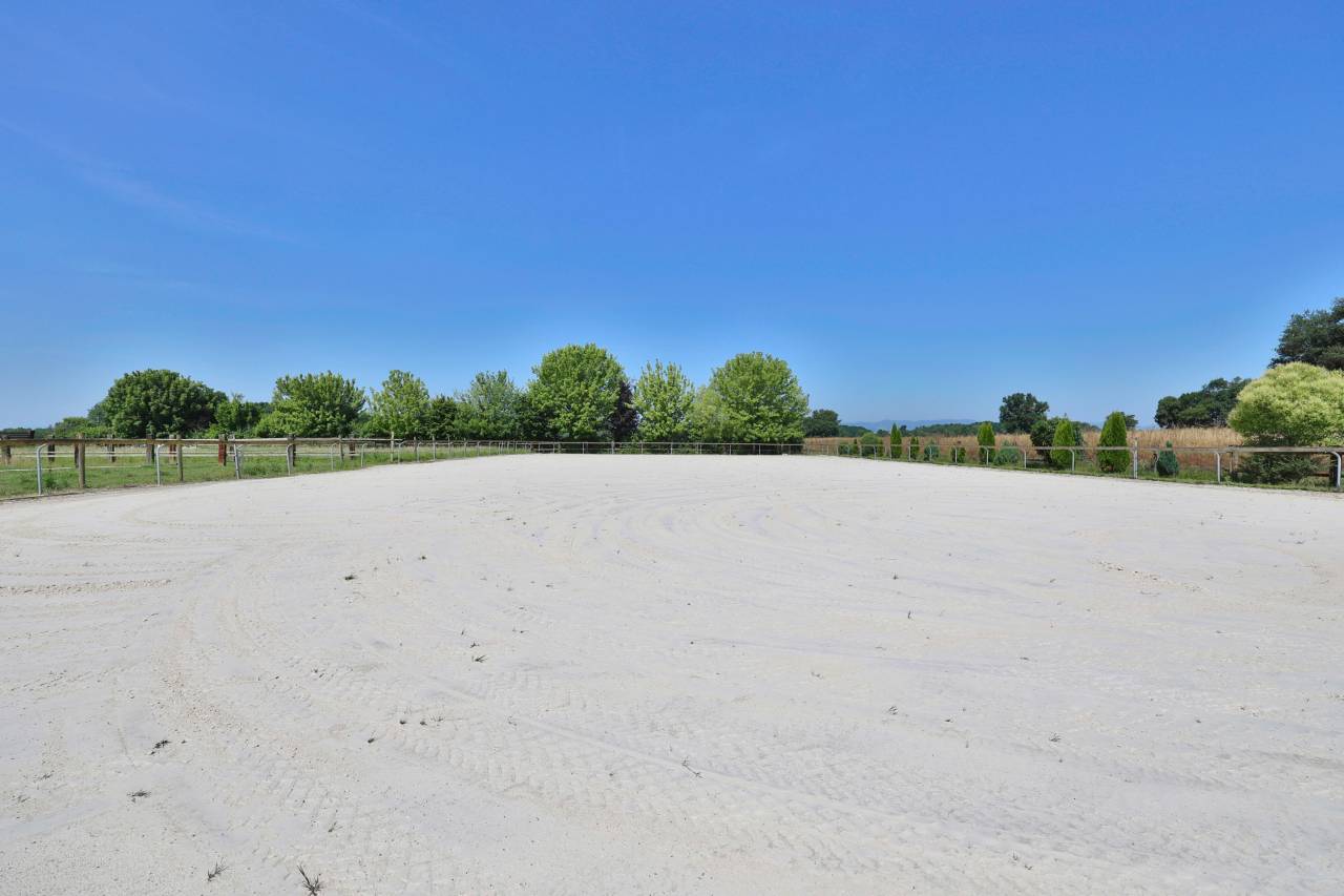 Luxurious equestrian property  Ain