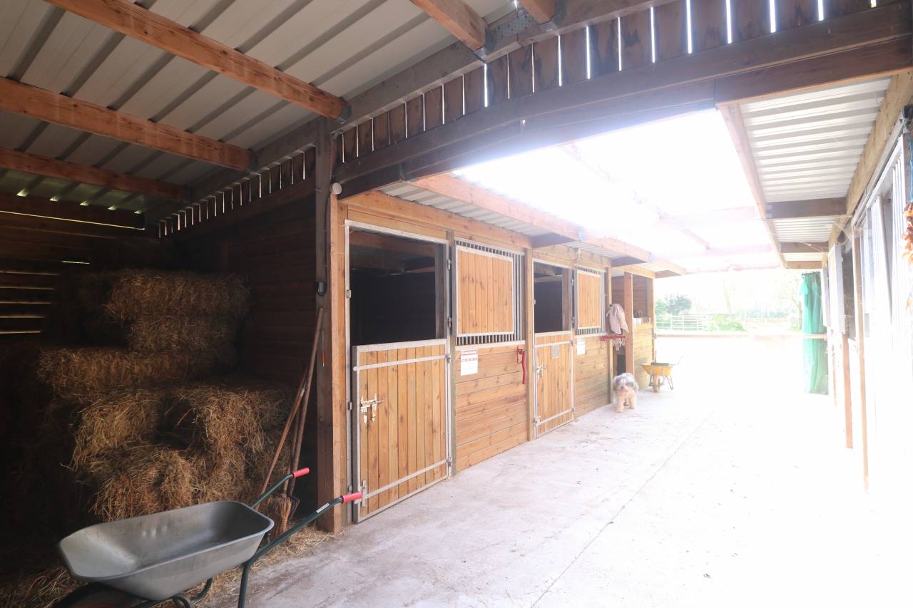 Luxurious equestrian property  Manche