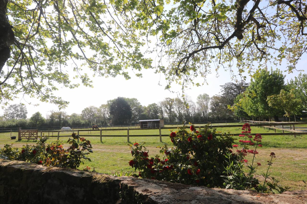 Luxurious equestrian property  Manche