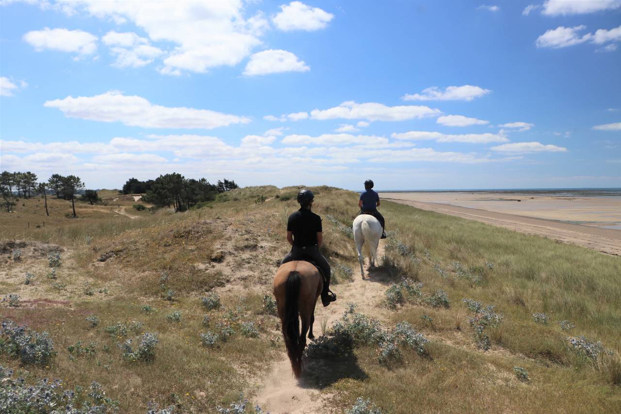 Luxurious equestrian property  Manche