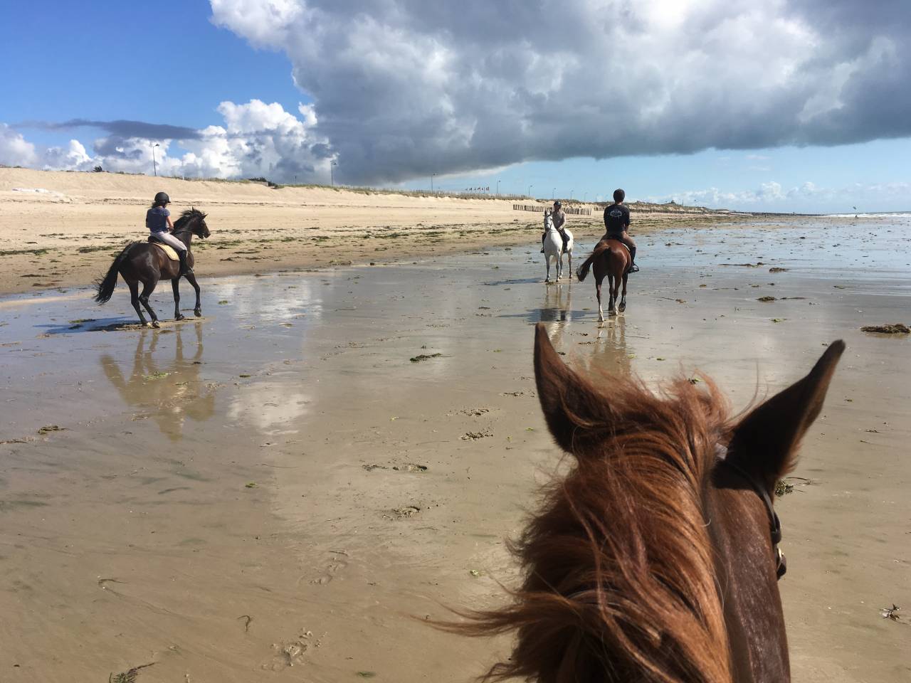 Luxurious equestrian property  Manche