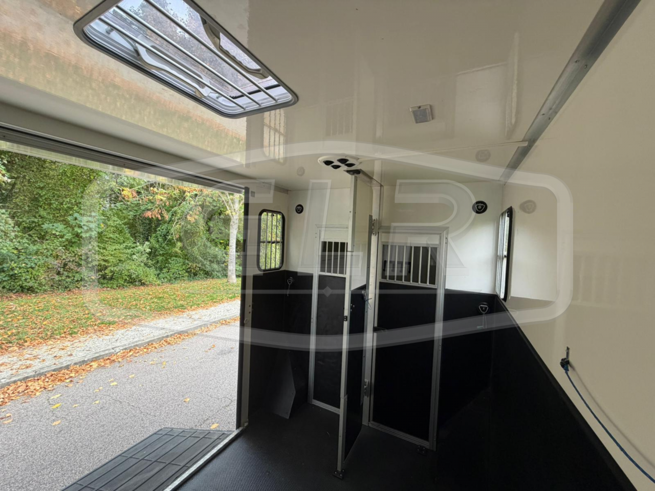 Horsebox HGV Les Vans ACR Renault Master 2023 Used