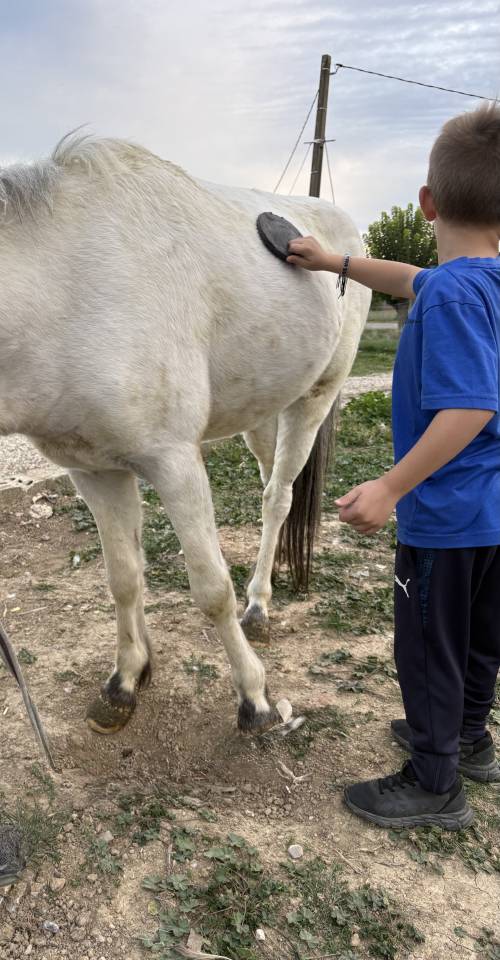 Entire No Origin Recorded For sale 2022 White