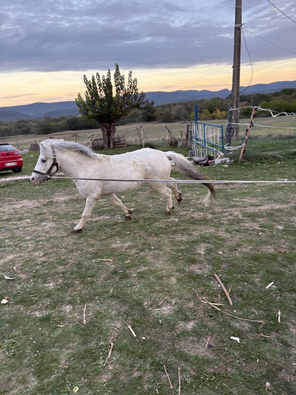 Entire No Origin Recorded For sale 2022 White