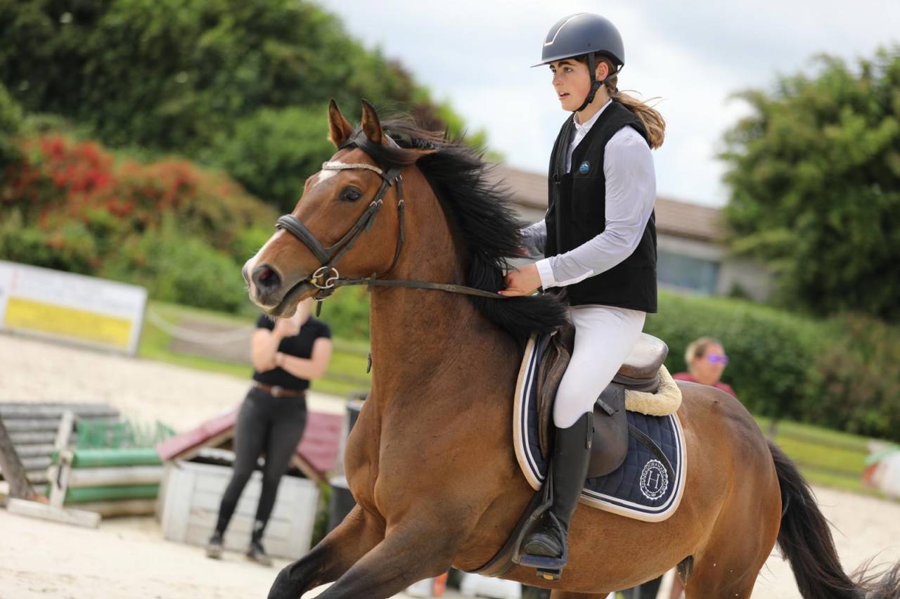 Mare Thoroughbred For sale 2020 Bay