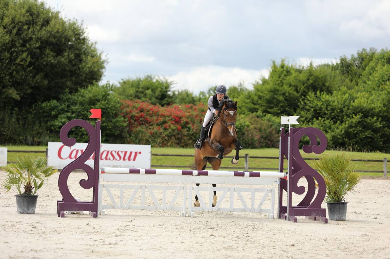 Mare Thoroughbred For sale 2020 Bay