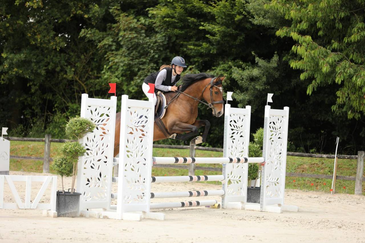 Mare Thoroughbred For sale 2020 Bay