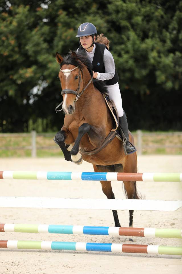 Mare Thoroughbred For sale 2020 Bay