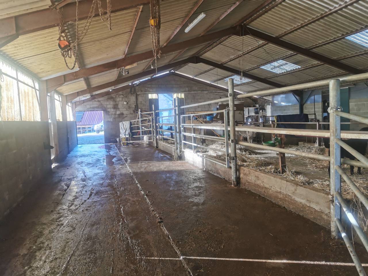 Equestrian farm  Cher