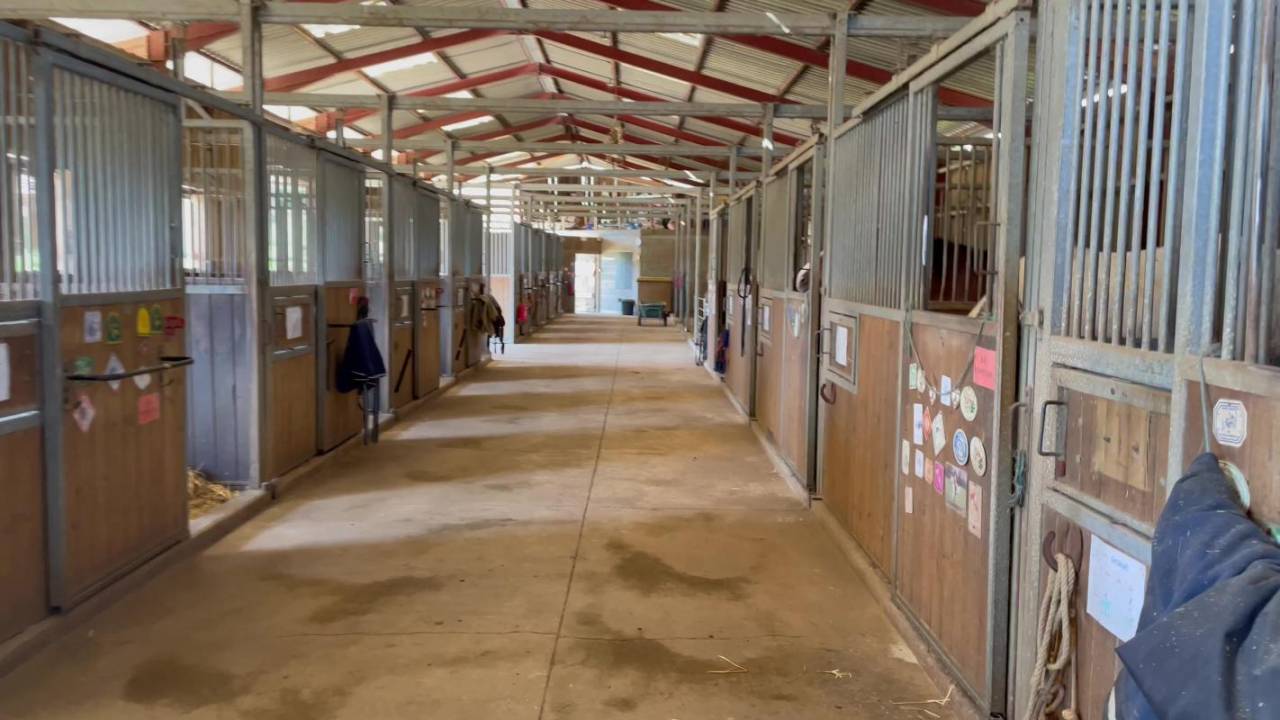 Equestrian property  Dordogne