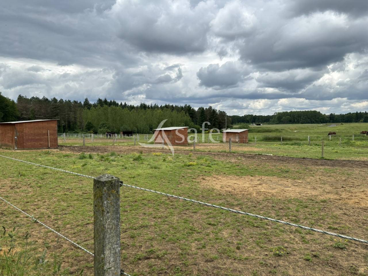 Equestrian property  Sarthe