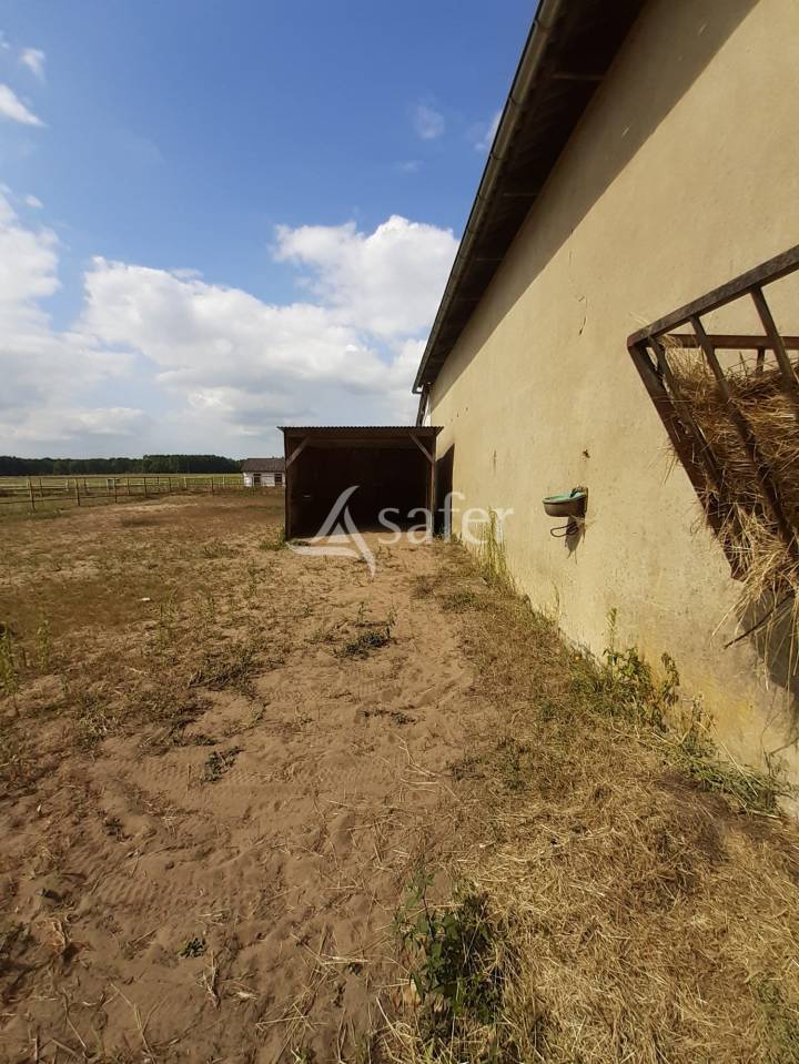 Equestrian property  Sarthe