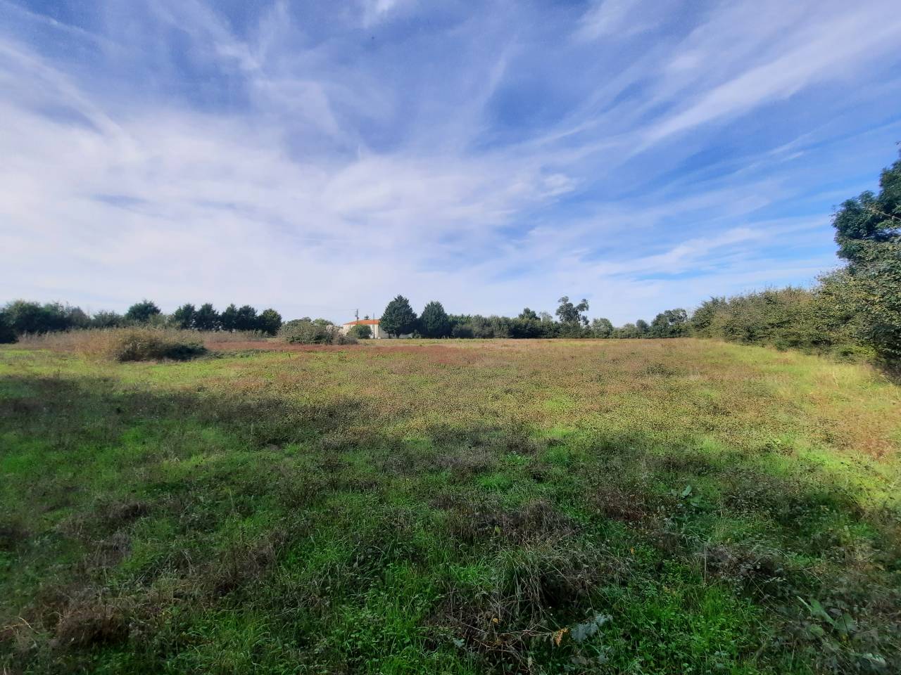 Luxurious equestrian property  Charente-Maritime