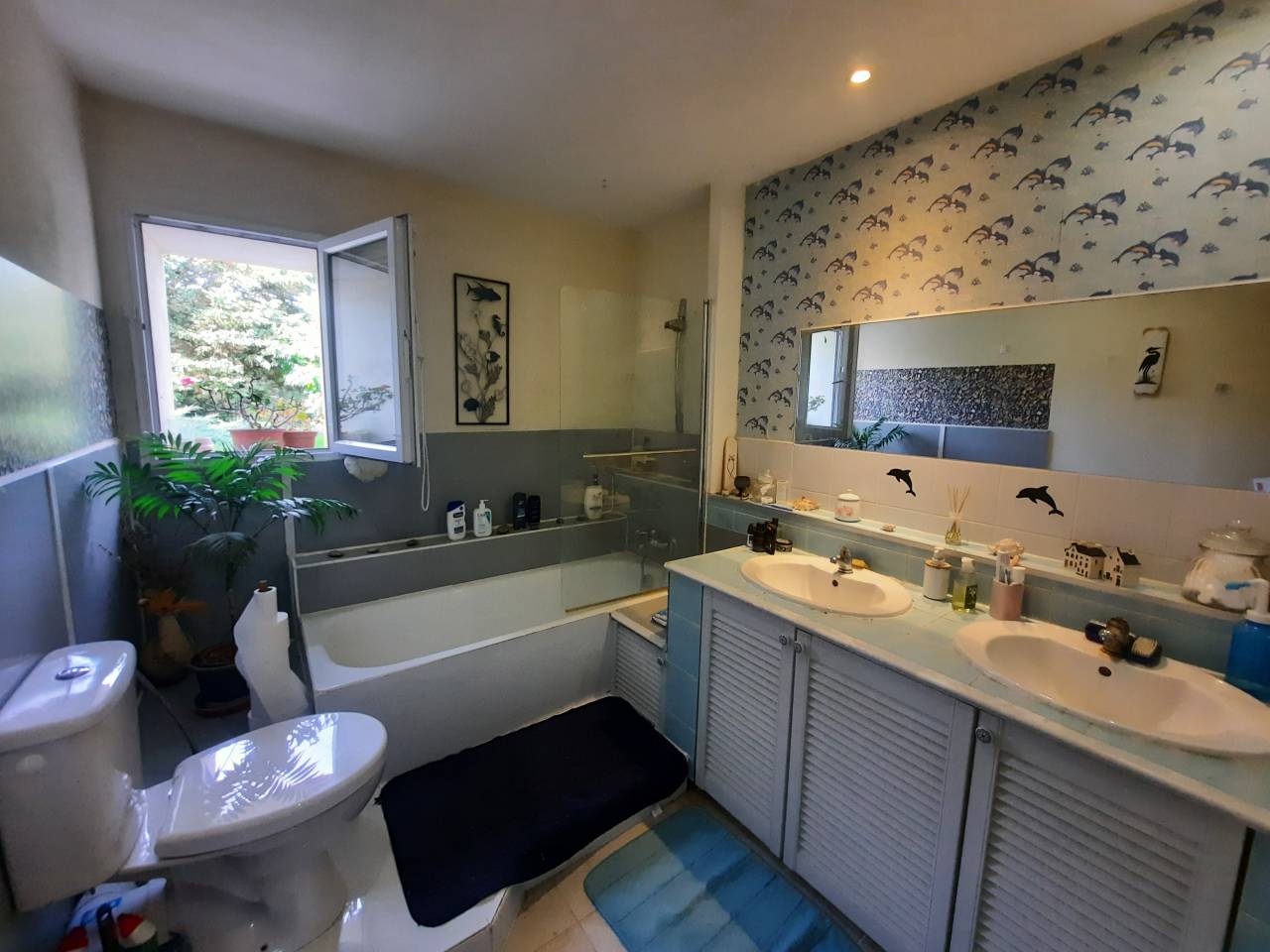 Luxurious equestrian property  Charente-Maritime