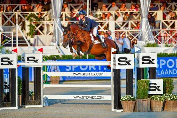 Mare AES Anglo European Studbook For sale 2015 Bay