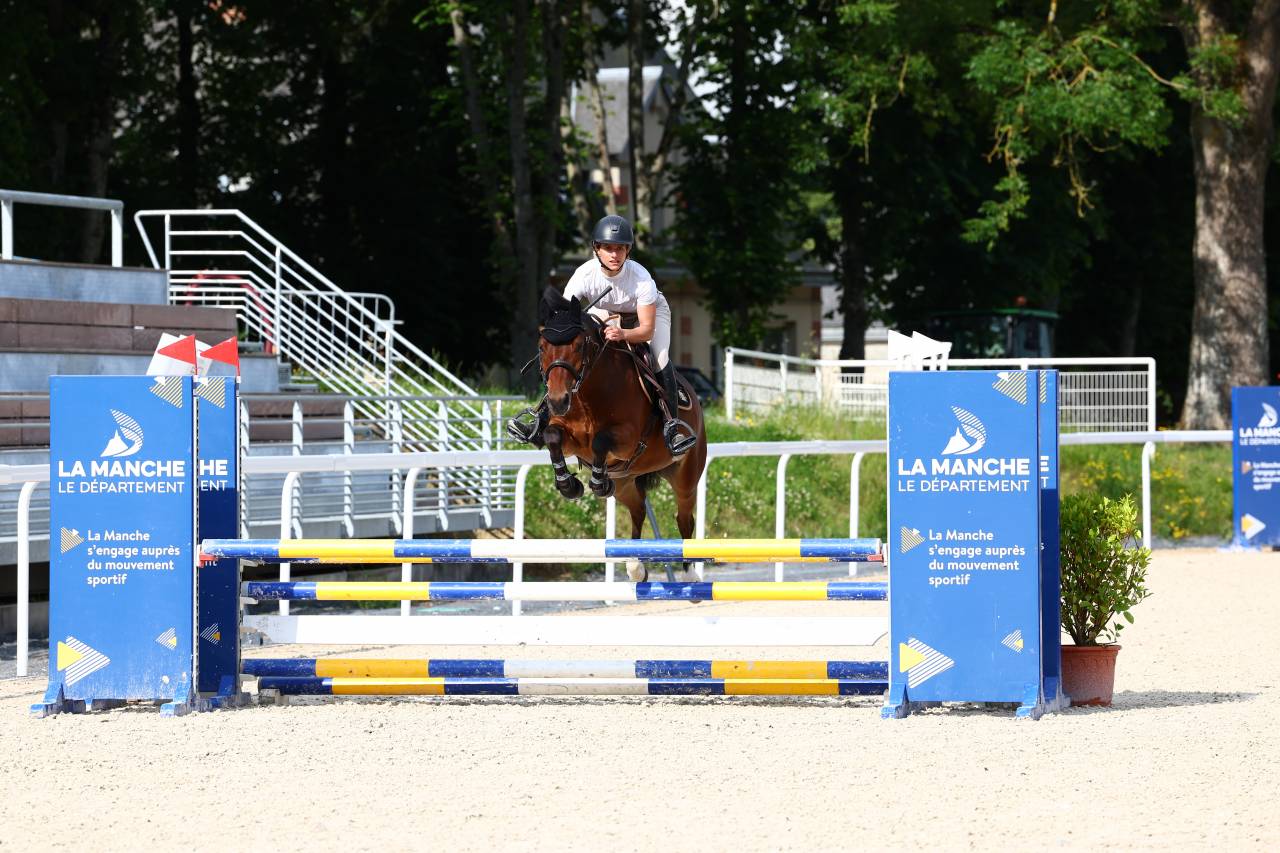 Gelding French Saddle Pony For sale 2021 Bay