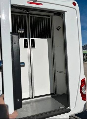 Horsebox HGV STX STX double cabine 2022 Used