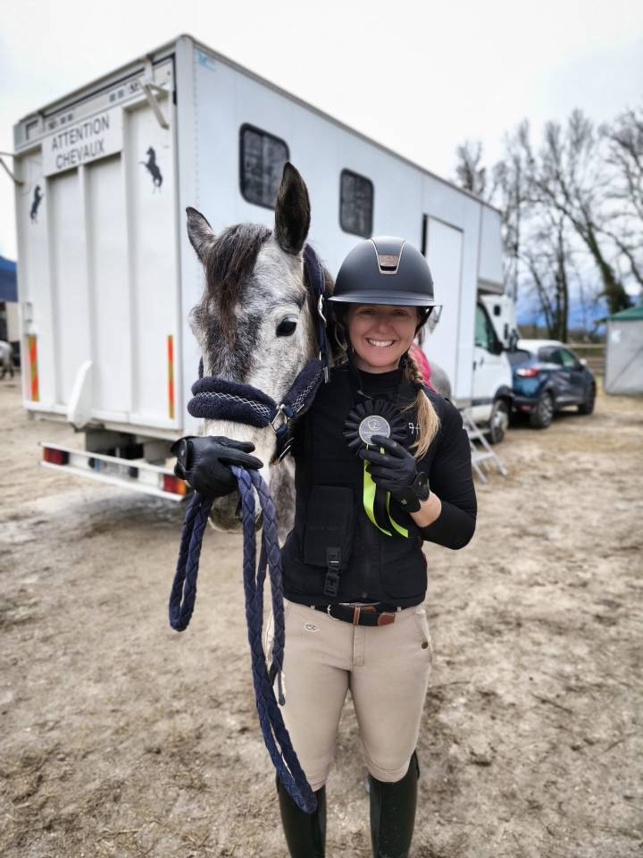 Gelding Connemara For sale 2020 Grey