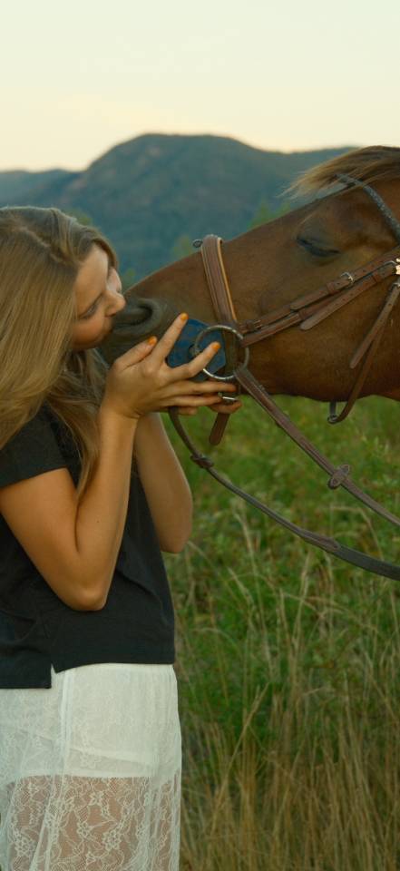 Gelding Connemara For loan 2009 Bay