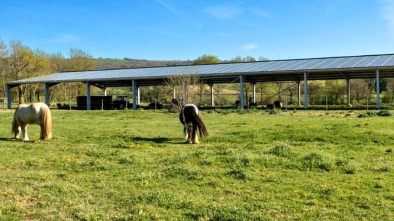 Luxurious equestrian property  Haute-Garonne
