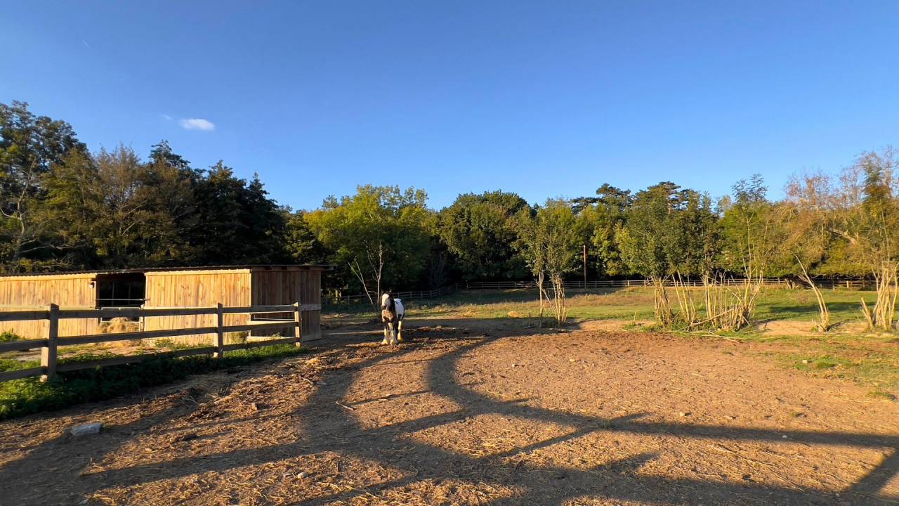 Luxurious equestrian property  Haute-Garonne