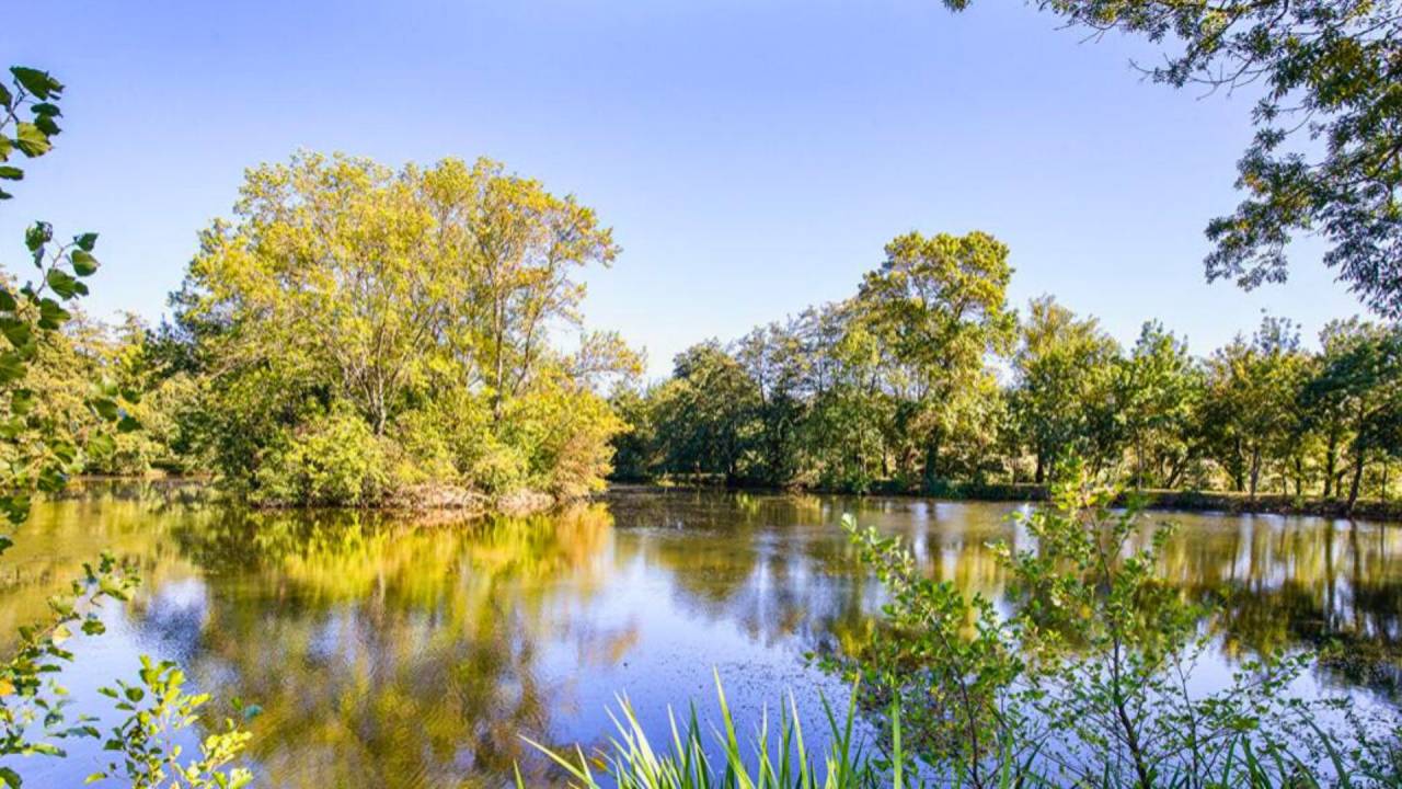 Luxurious equestrian property  Haute-Garonne