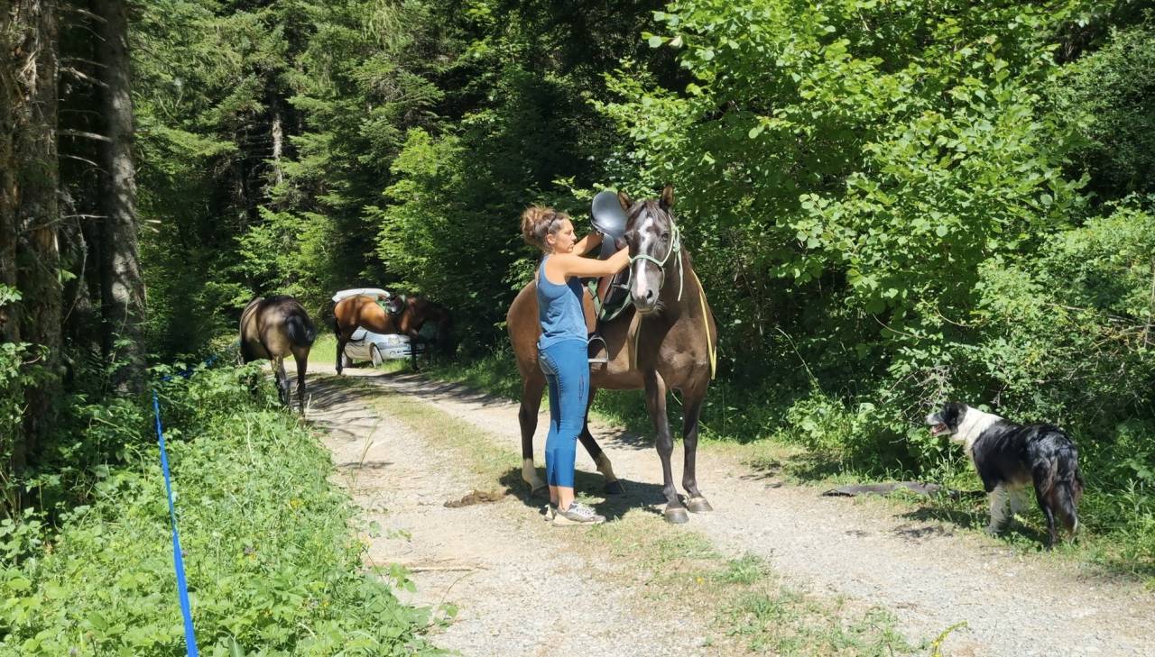 Mare Origin Recorded For sale 2018 Black