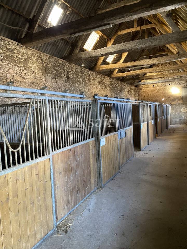 Equestrian property  Orne