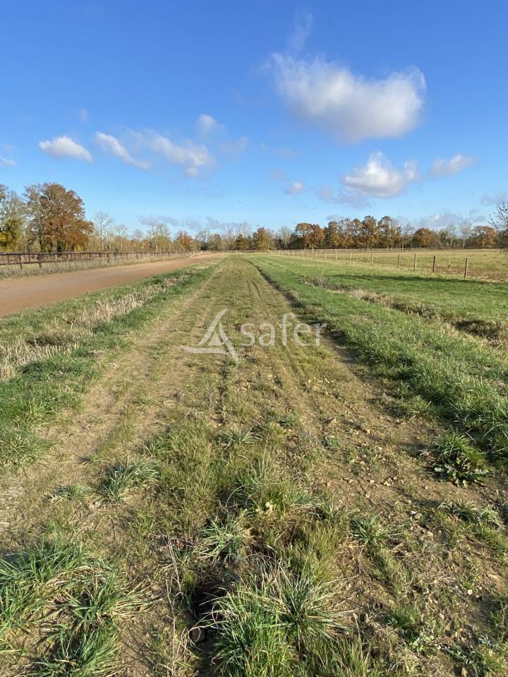 Equestrian property  Orne