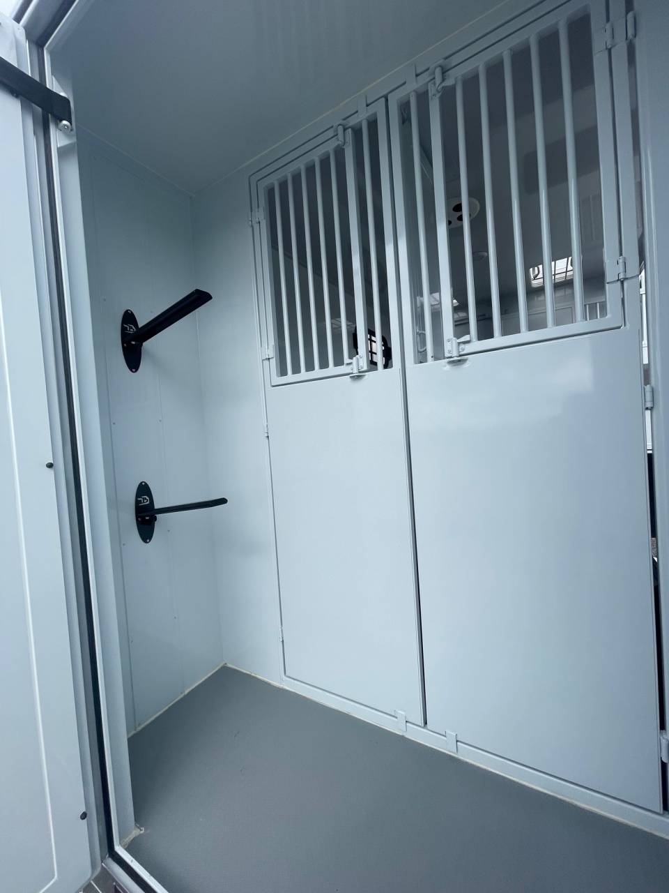 Horsebox HGV TBST Renault Master 2023 Used