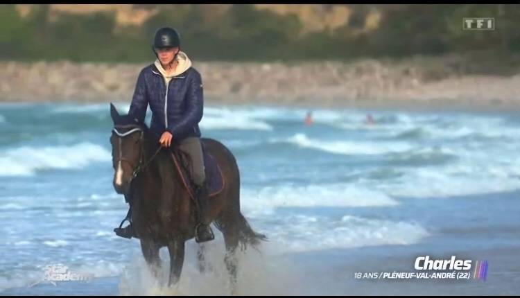 Mare Holsteiner For sale 2019 Dark Bay