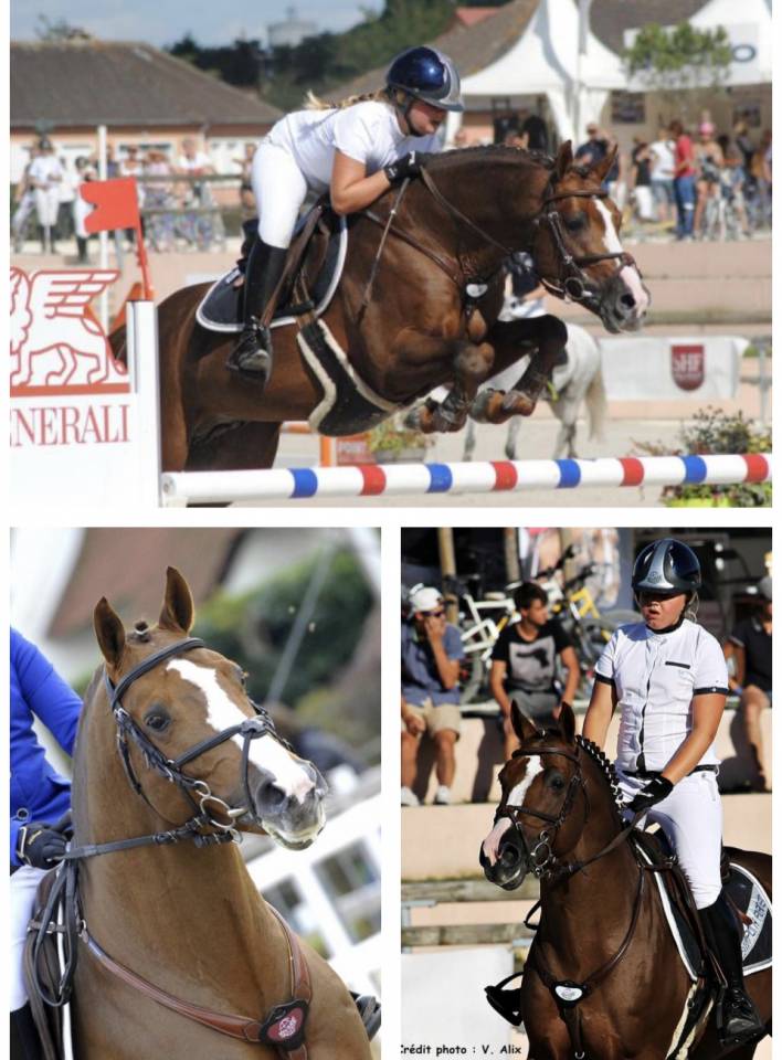 Filly Origin Recorded For sale 2025 Bay