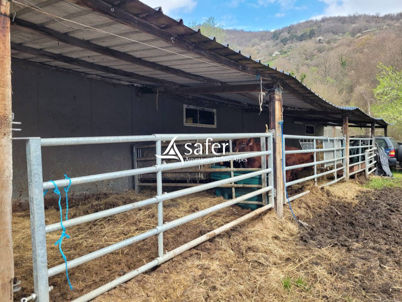 Other agricultural property  Cantal